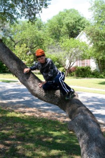 2012-04-08-22-Egg Hunt.jpg